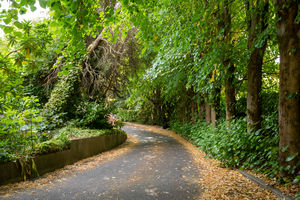 222 Graham Road Ranmoor